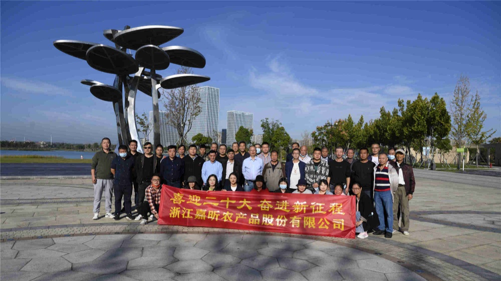 金鼎国际(中国区) - 官方网站