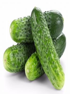 小黄瓜