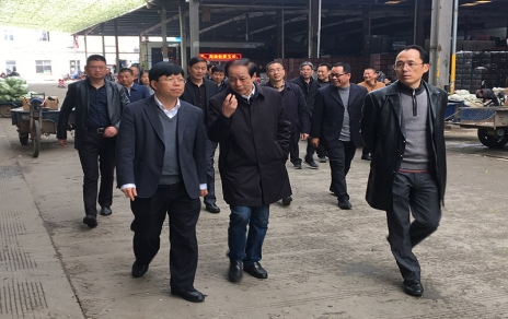 2017年3月16日下午，嘉兴市委常委、常务副市长楼建明带领市级相关部门负责人视察嘉兴蔬菜批发市场