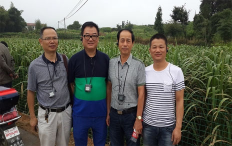 2014年8月，中国蔬菜流通协会会长戴中久与公司、市场领导一起考察蔬菜基地
