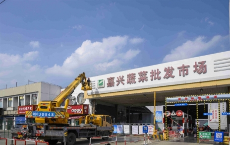 进无止境，“嘉农?蔬菜人”