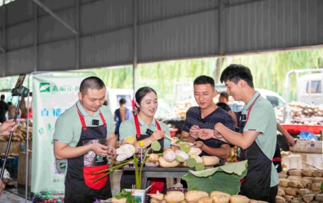 做好“双服务”：金鼎国际小厨房开播，本期主角---莲藕