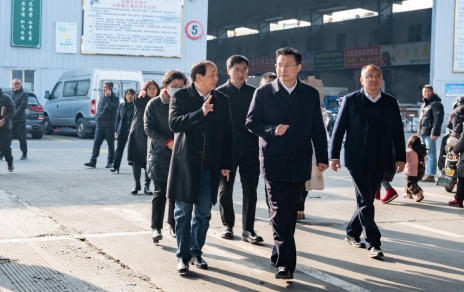 嘉兴市委书记陈伟视察指导我公司春节保供应工作